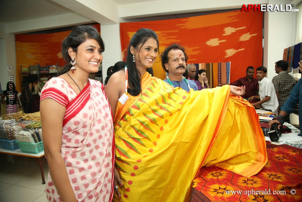 Pochampally IKAT art Mela Event