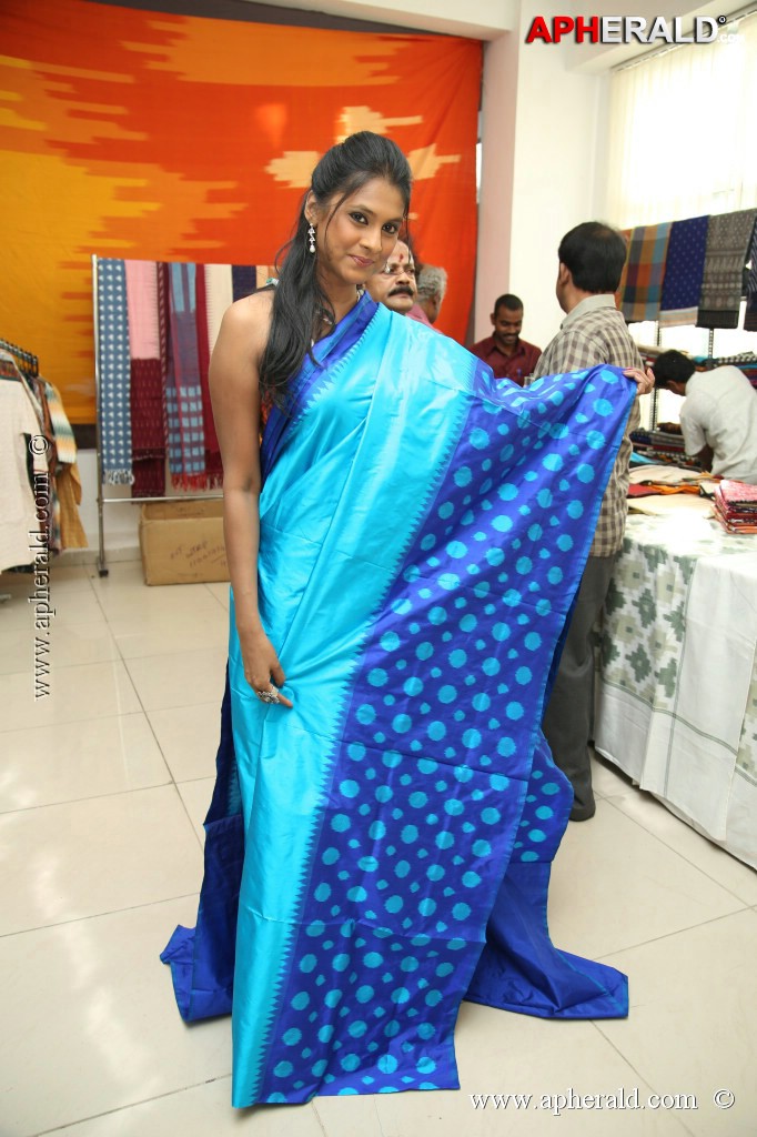 Pochampally IKAT art Mela Event