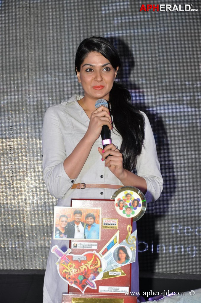 Potugadu Triple Platinum Disc Function