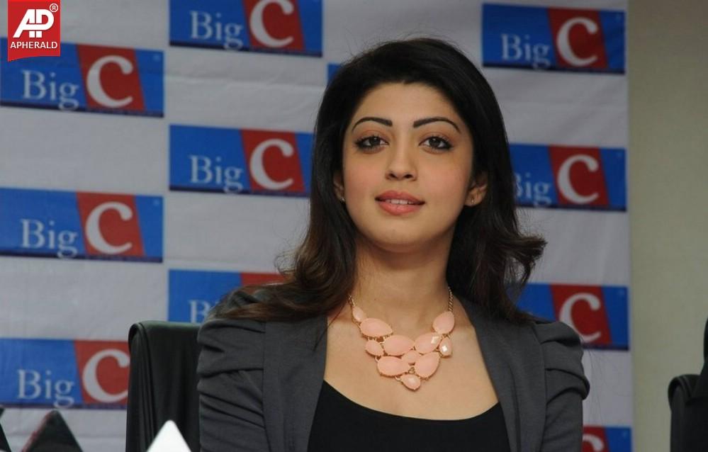 Pranitha Launches Big C Dussehra Offers