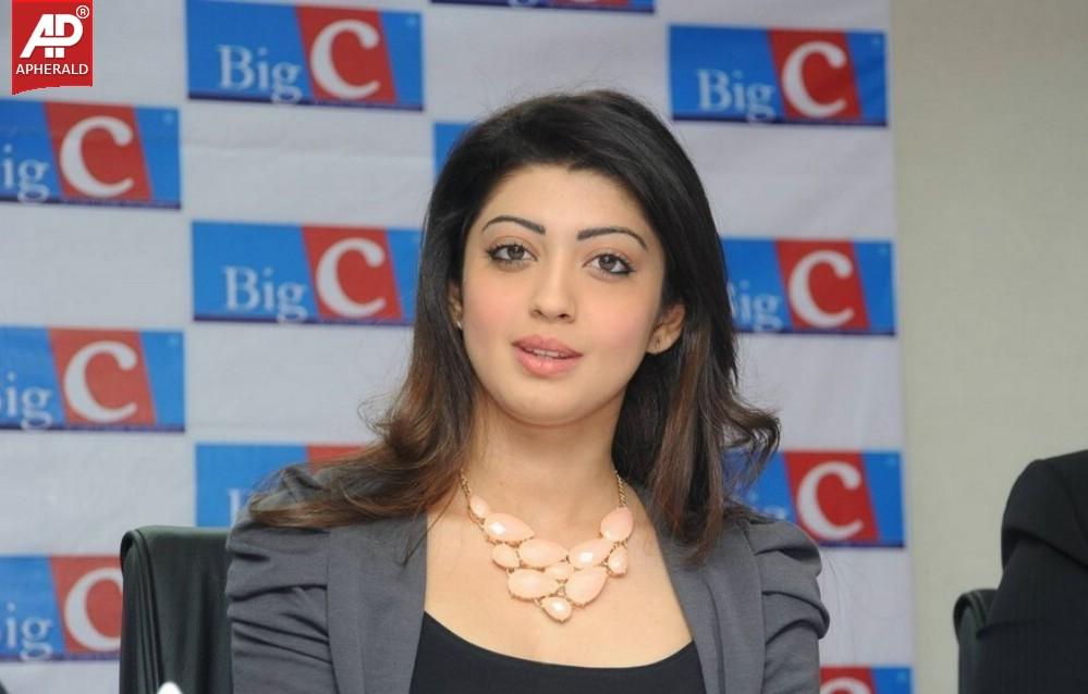 Pranitha Launches Big C Dussehra Offers