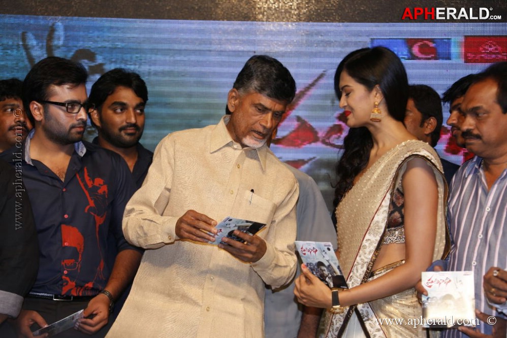 Pratinidhi Movie Audio Launch