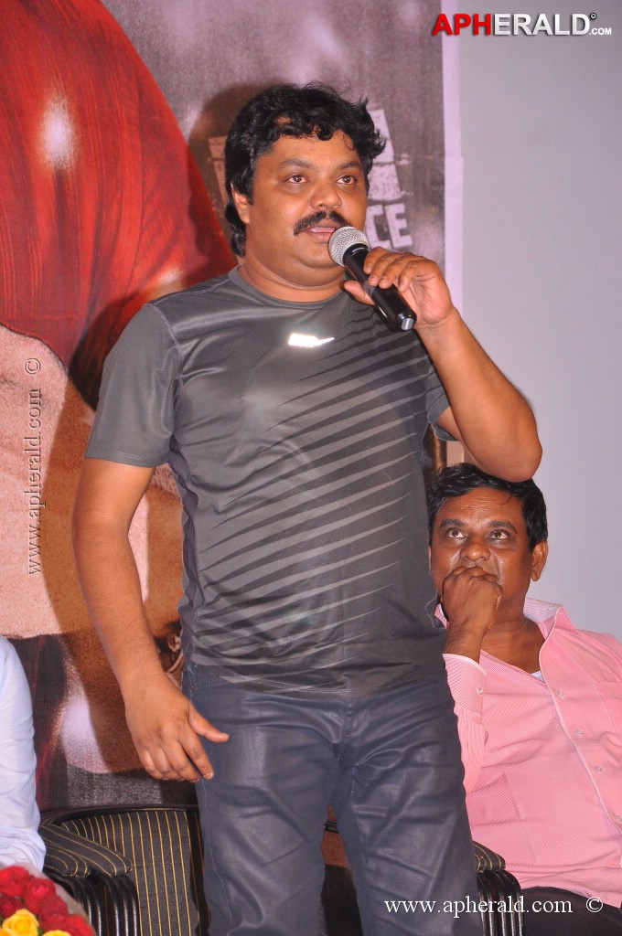 Prema Katha Chitram Platinum Disc Function