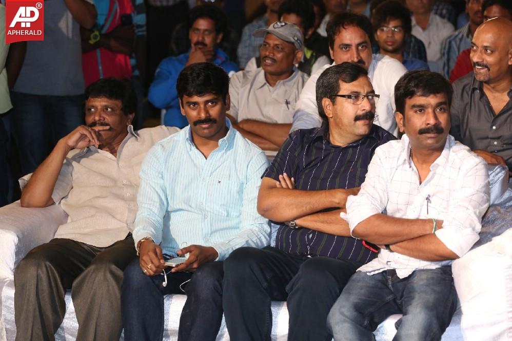 Pyar Mein Padipoyane Audio Launch