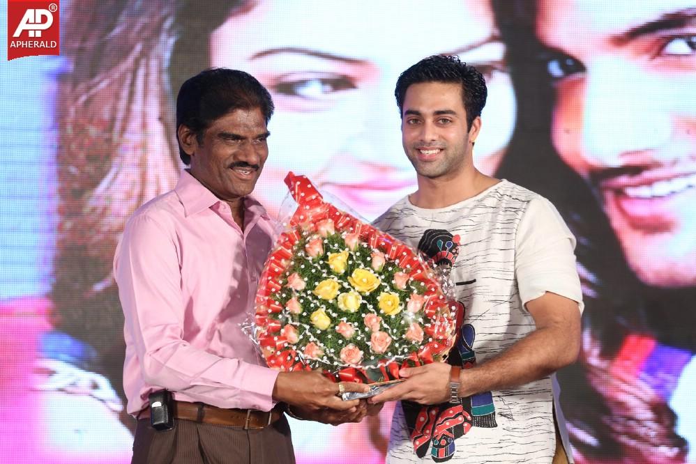 Pyar Mein Padipoyane Audio Launch