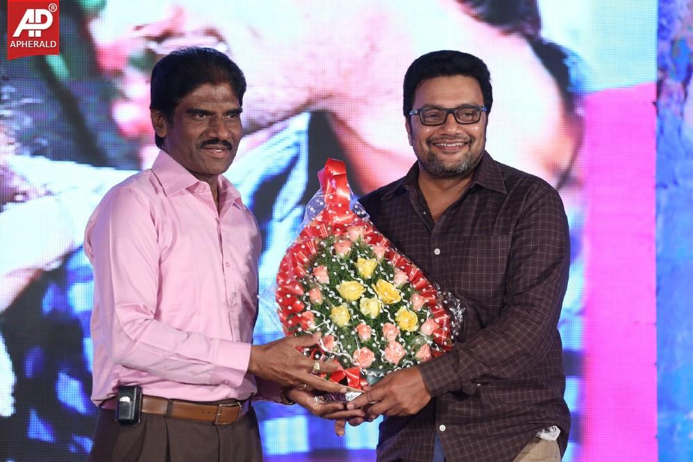 Pyar Mein Padipoyane Audio Launch