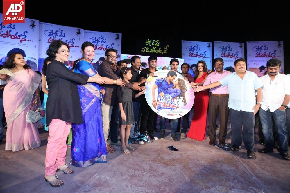 Pyar Mein Padipoyane Audio Launch