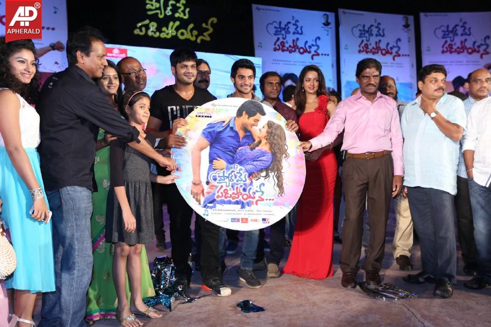 Pyar Mein Padipoyane Audio Launch