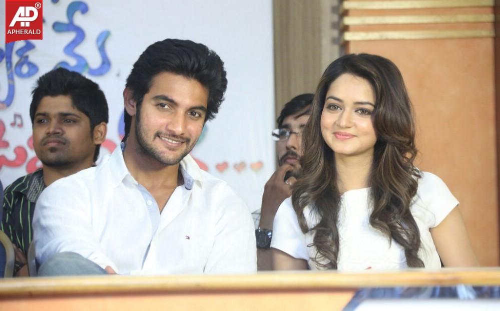 Pyar Mein Padipoyane Movie Success Meet