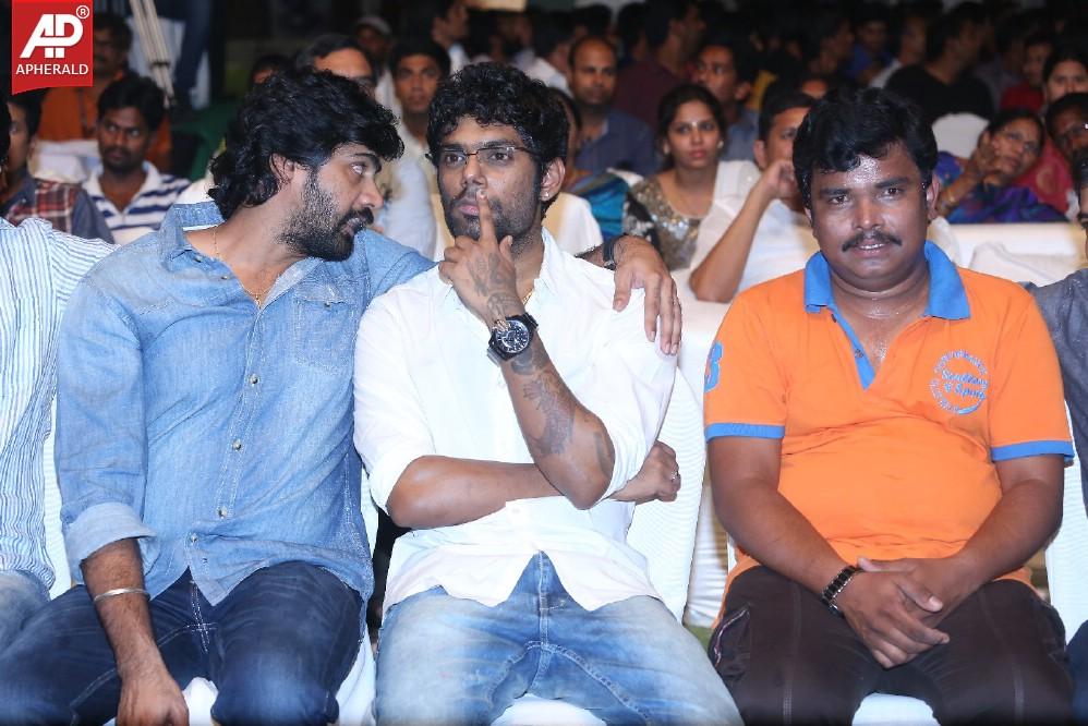 Ra Ra Krishnayya Audio Launch 2