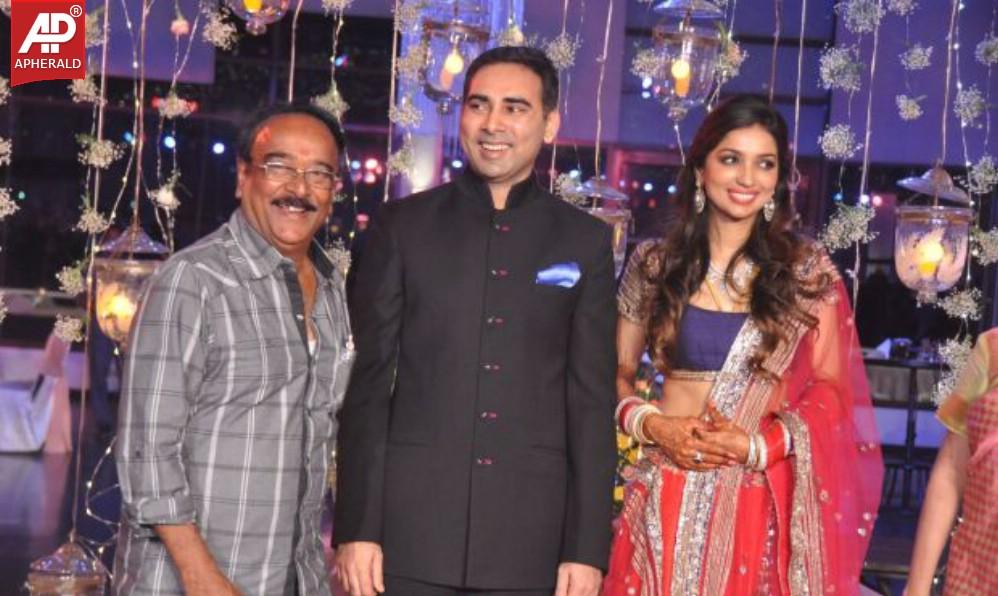 Raghavendra rao Son Wedding Reception Pics