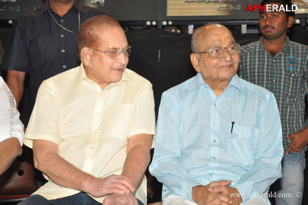 Raghupathi Venkaiah Naidu Audio Launch