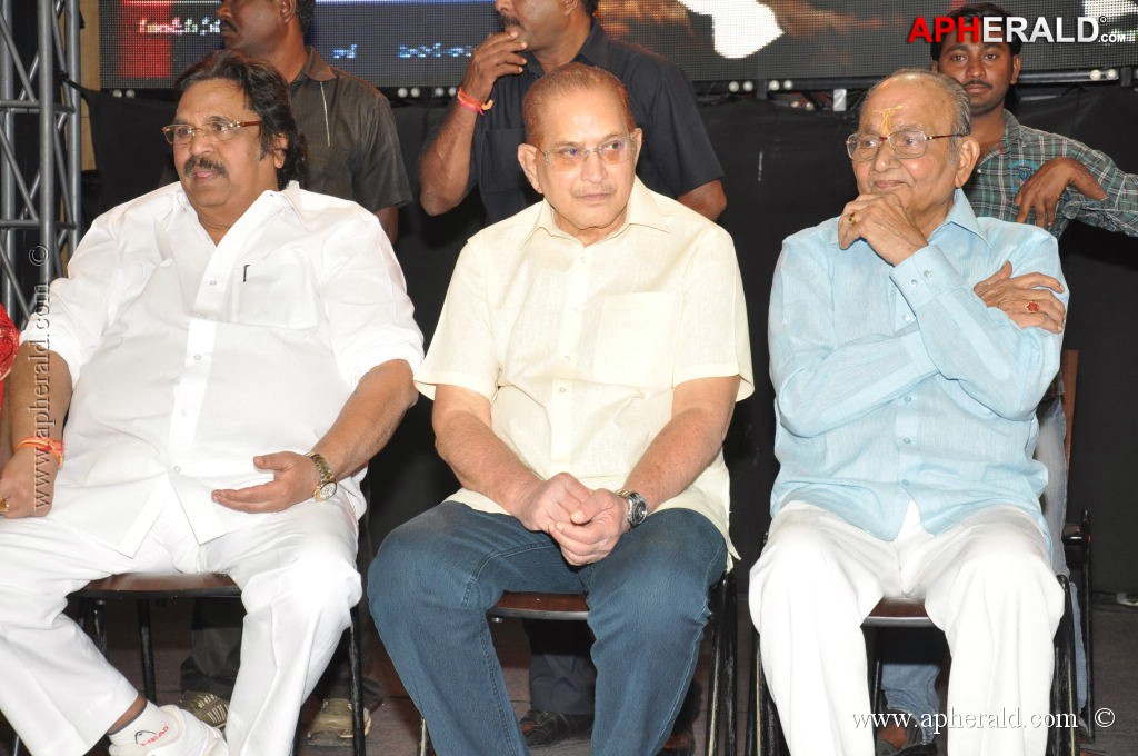 Raghupathi Venkaiah Naidu Audio Launch