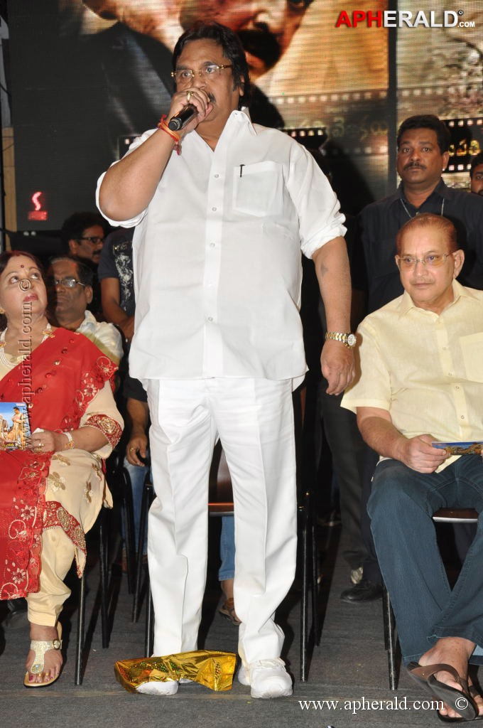 Raghupathi Venkaiah Naidu Audio Launch