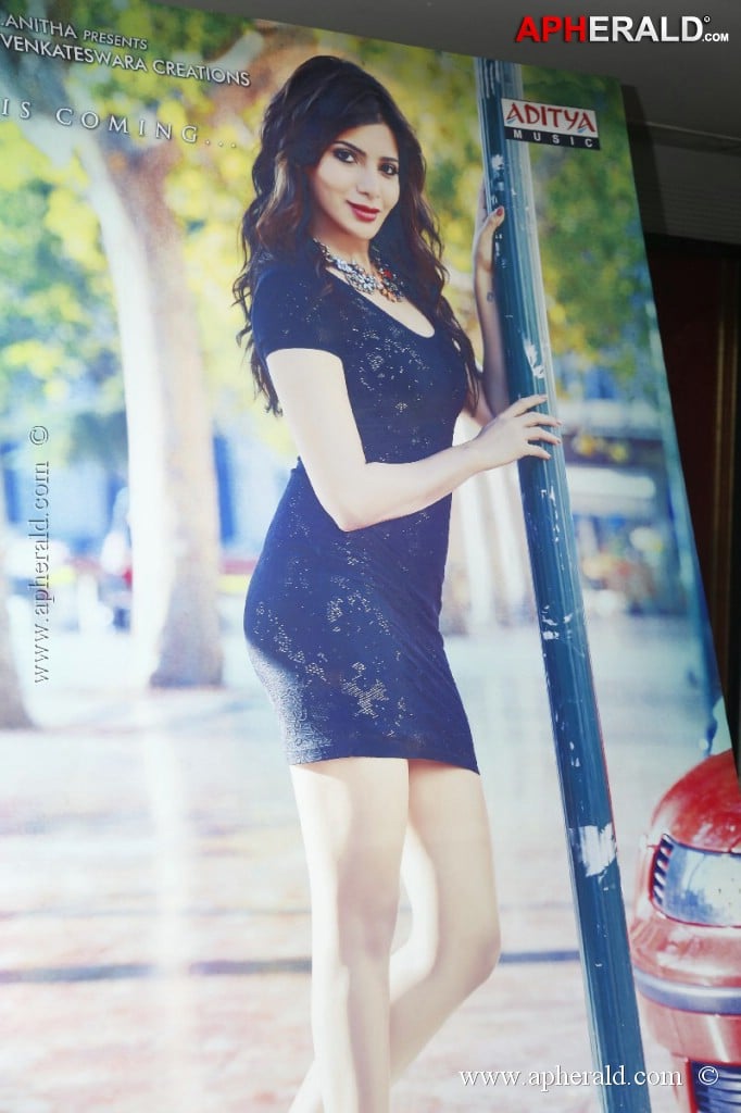  Ramayya Vasthavayya Audio Launch Photos