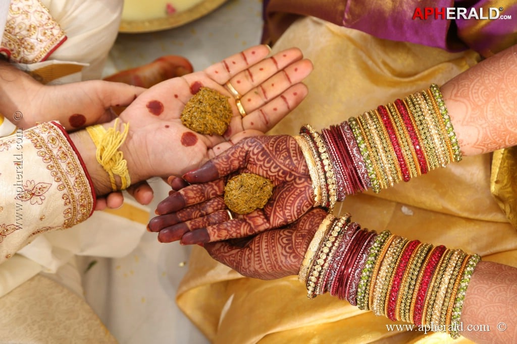 Rambabu Varma Daughter Marriage Photos