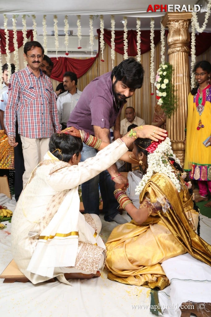 Rambabu Varma Daughter Marriage Photos
