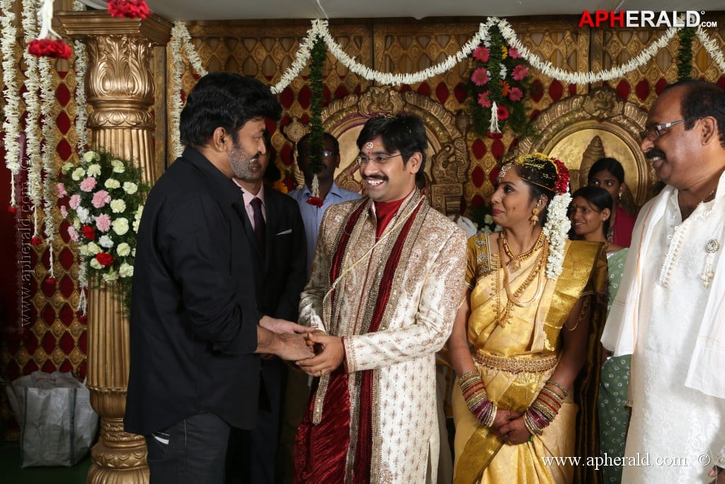 Rambabu Varma Daughter Marriage Photos