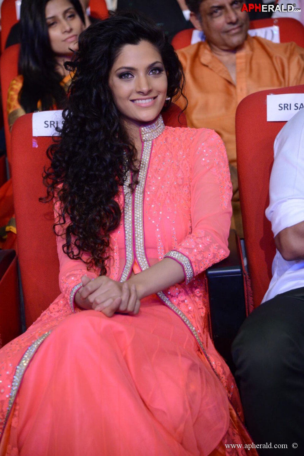 Rey Movie Audio Launch 3