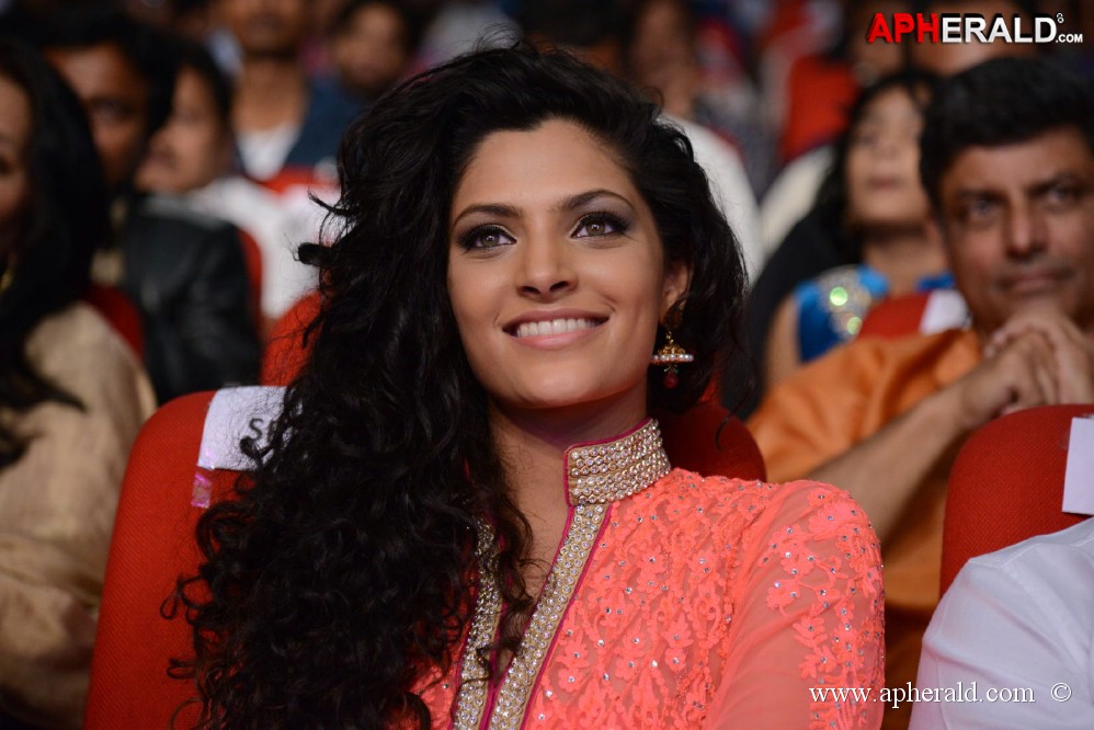 Rey Movie Audio Launch 3