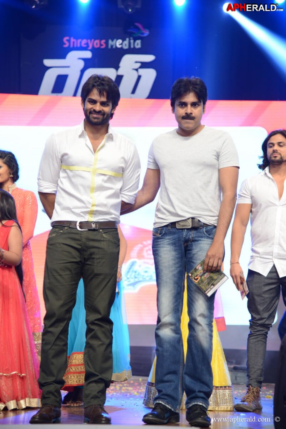 Rey Movie Audio Launch 3