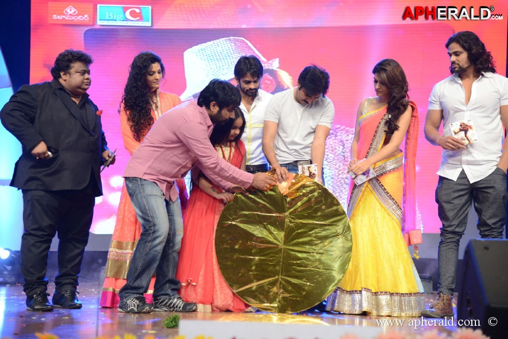 Rey Movie Audio Launch 3