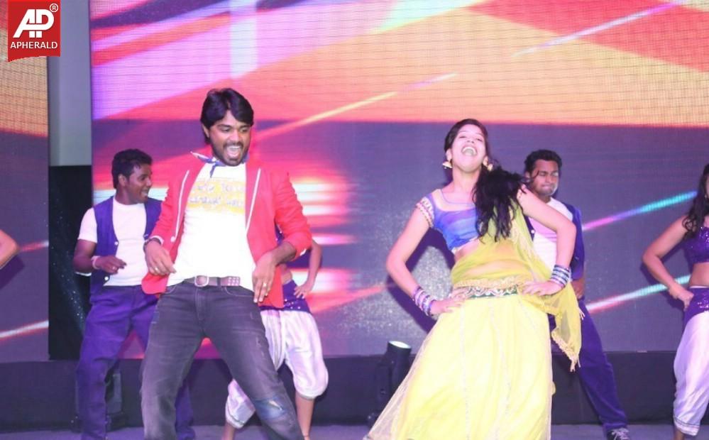 Rough Movie Audio Launch Photos