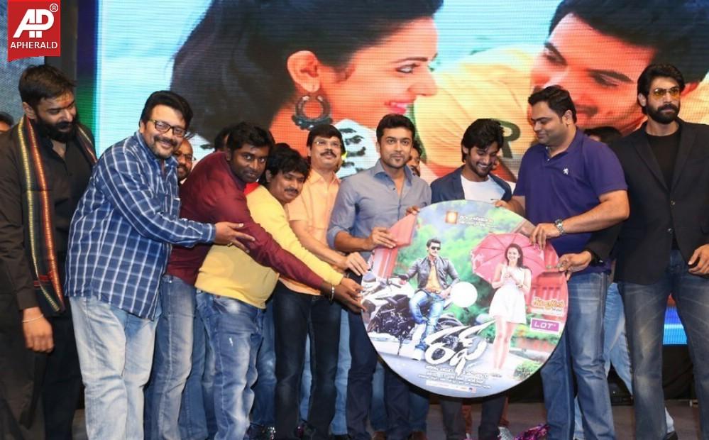 Rough Movie Audio Launch Photos