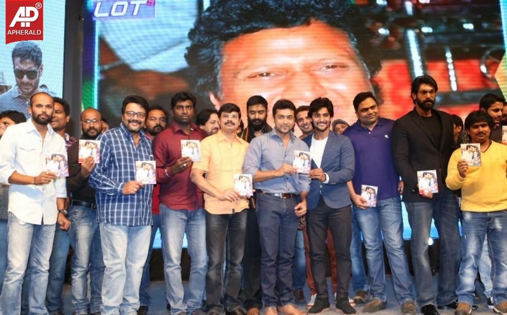 Rough Movie Audio Launch Photos