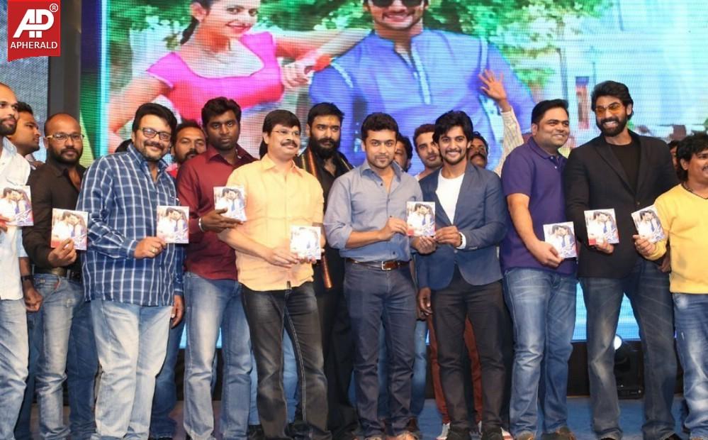 Rough Movie Audio Launch Photos