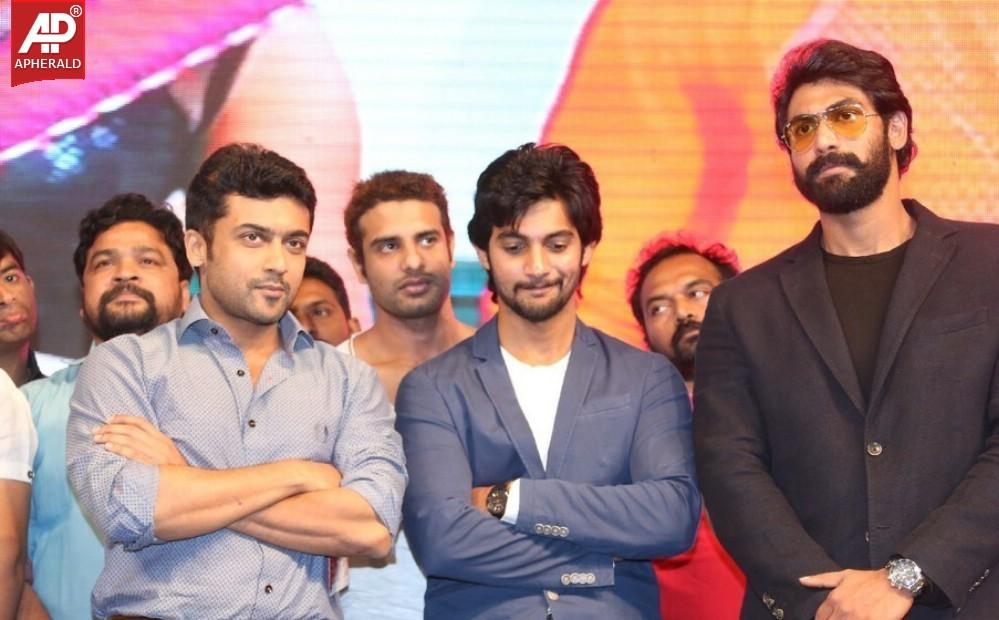 Rough Movie Audio Launch Photos