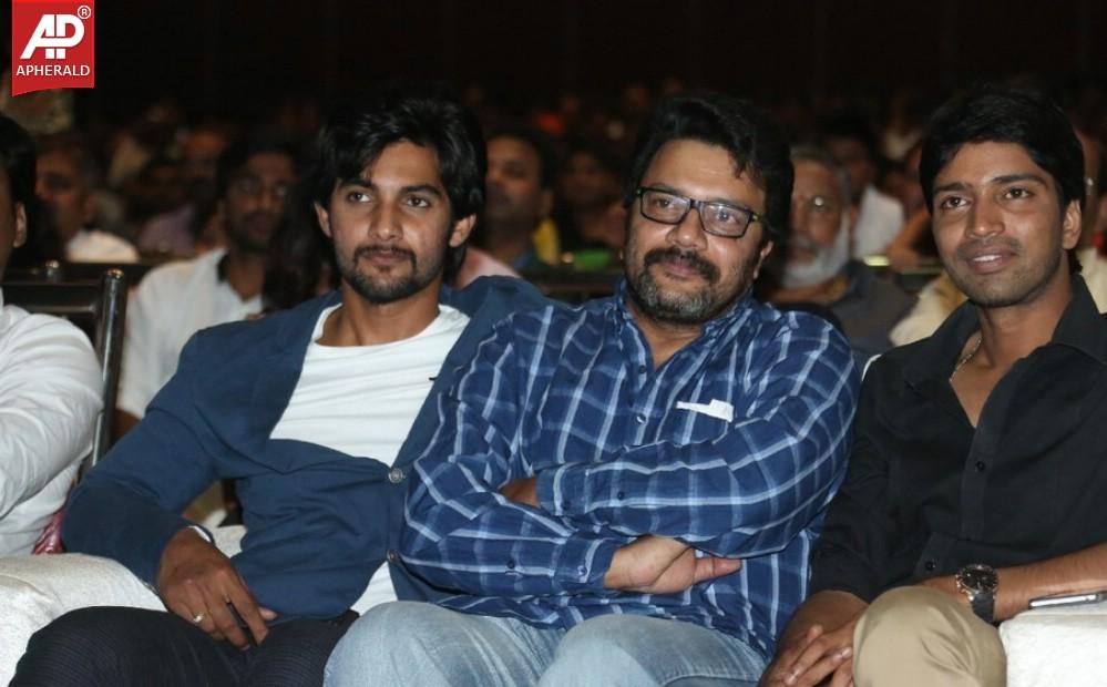 Rough Movie Audio Launch Photos