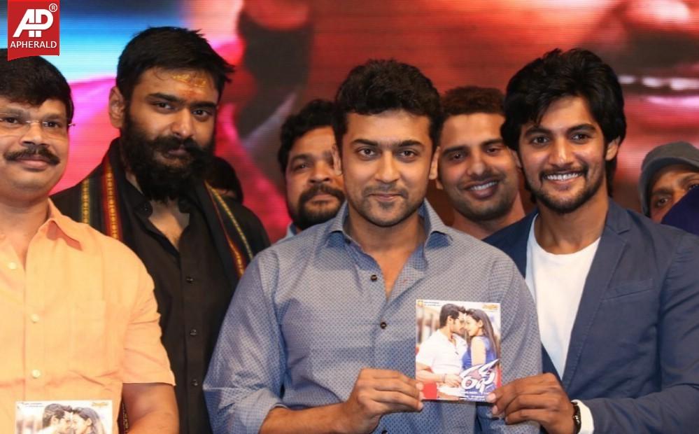 Rough Movie Audio Launch Photos