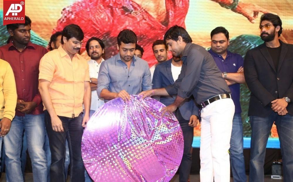 Rough Movie Audio Launch Photos
