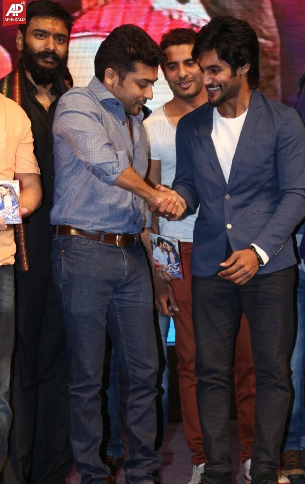 Rough Movie Audio Launch Photos