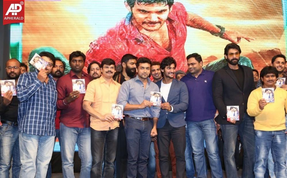 Rough Movie Audio Launch Photos