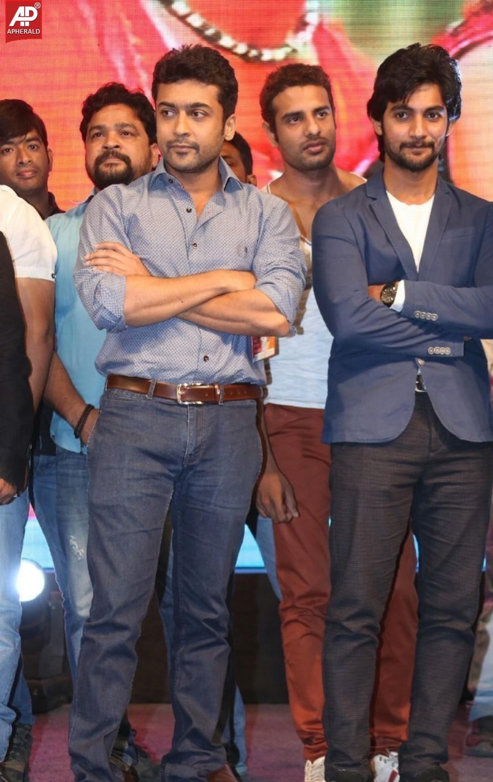 Rough Movie Audio Launch Photos
