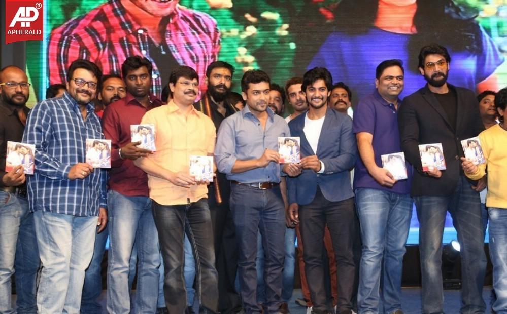 Rough Movie Audio Launch Photos