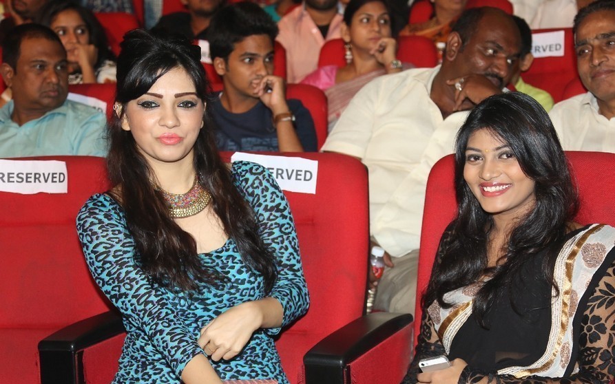 Rowdy Fellow Audio Launch