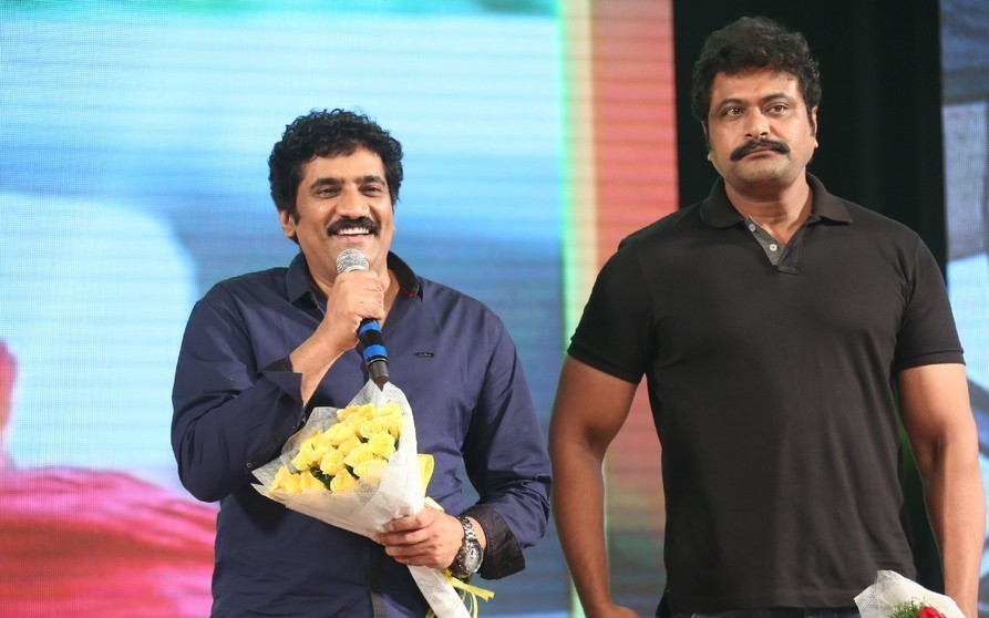 Rowdy Fellow Audio Launch