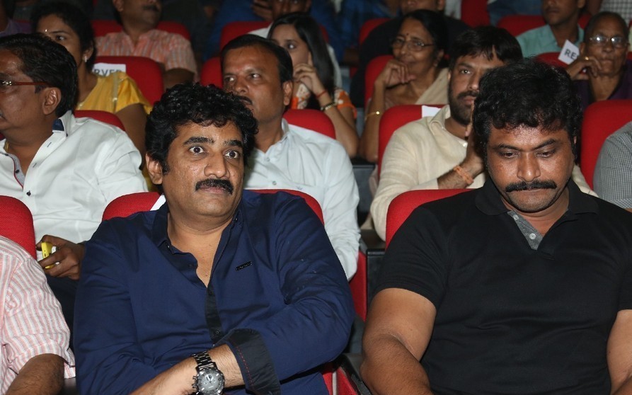 Rowdy Fellow Audio Launch