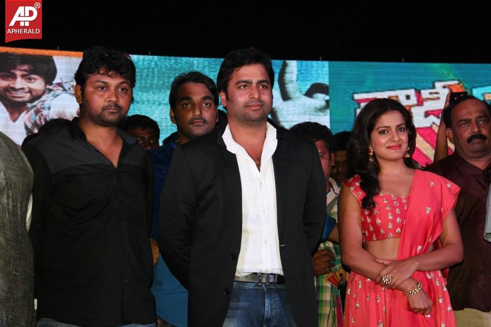 Rowdy Fellow Platinum Disc Function