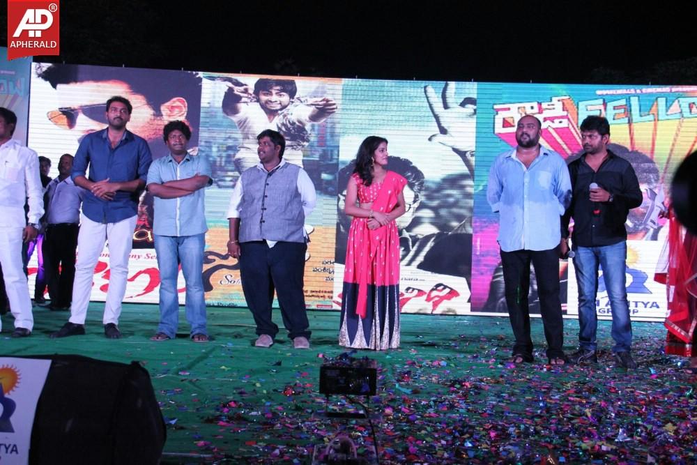 Rowdy Fellow Platinum Disc Function