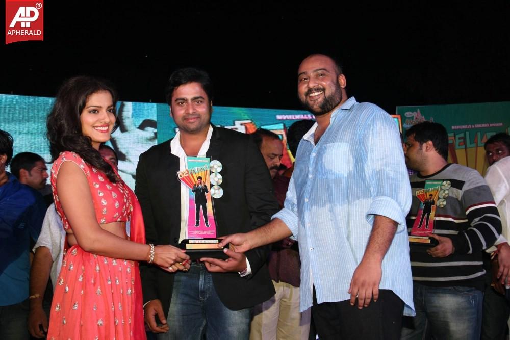 Rowdy Fellow Platinum Disc Function