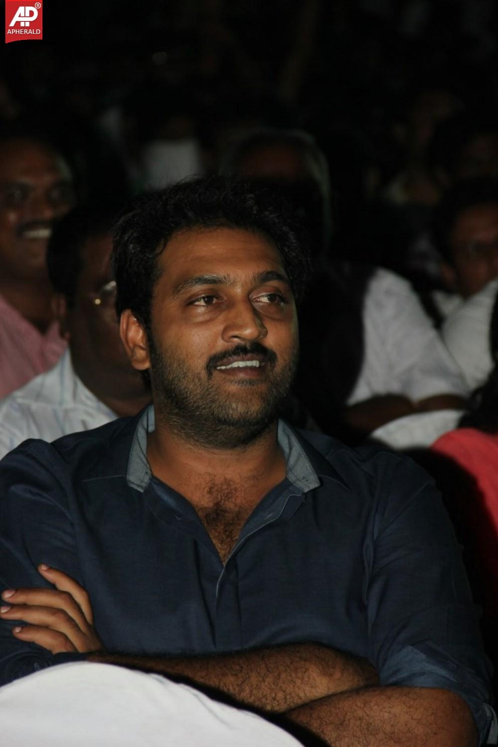 Rowdy Fellow Platinum Disc Function