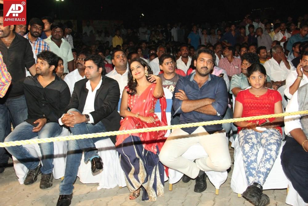 Rowdy Fellow Platinum Disc Function