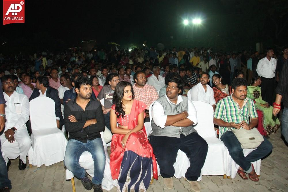 Rowdy Fellow Platinum Disc Function