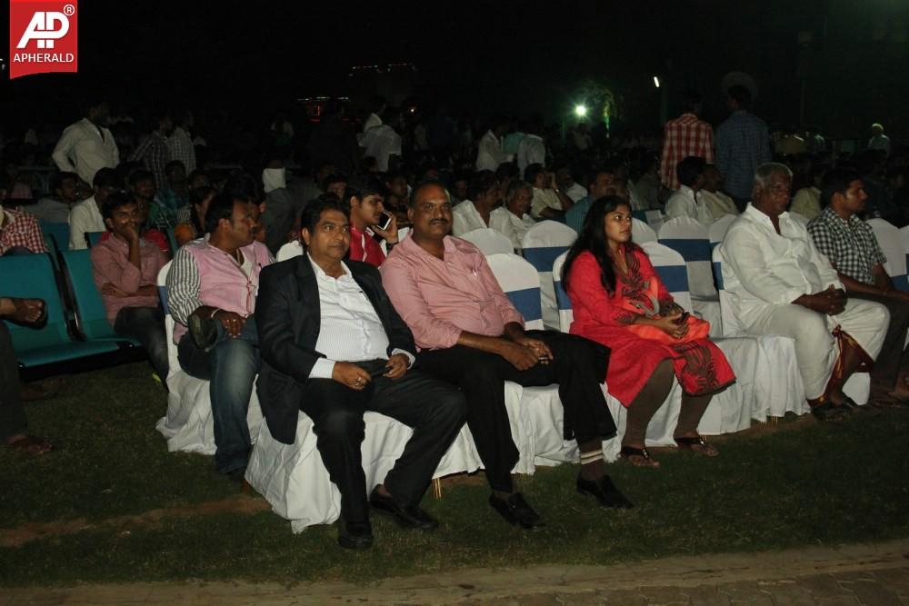 Rowdy Fellow Platinum Disc Function