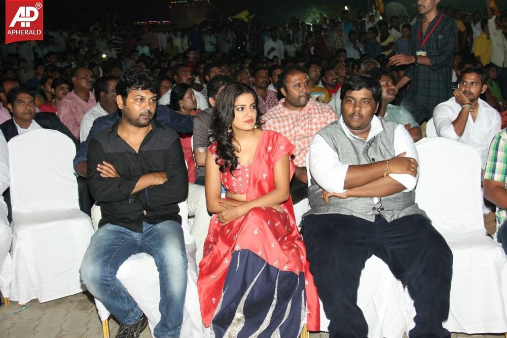 Rowdy Fellow Platinum Disc Function