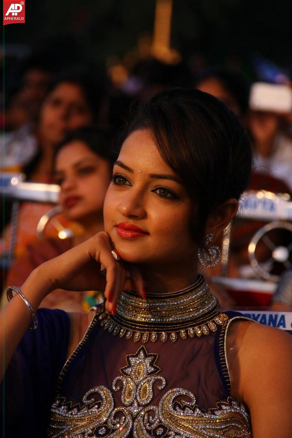 Rowdy Movie Audio Launch 2